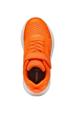Geox Kids Trainers | Sprintye | Orange