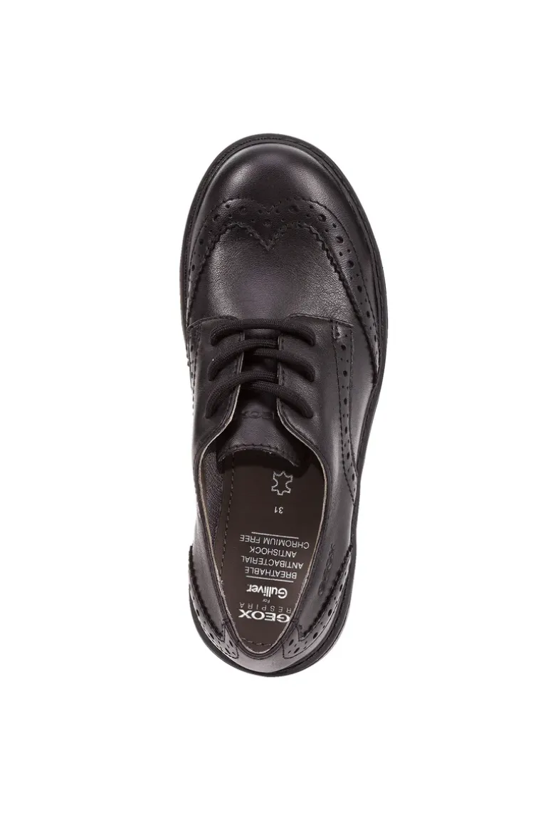 Geox School Shoes | Casey Brogue Lace Up | Black